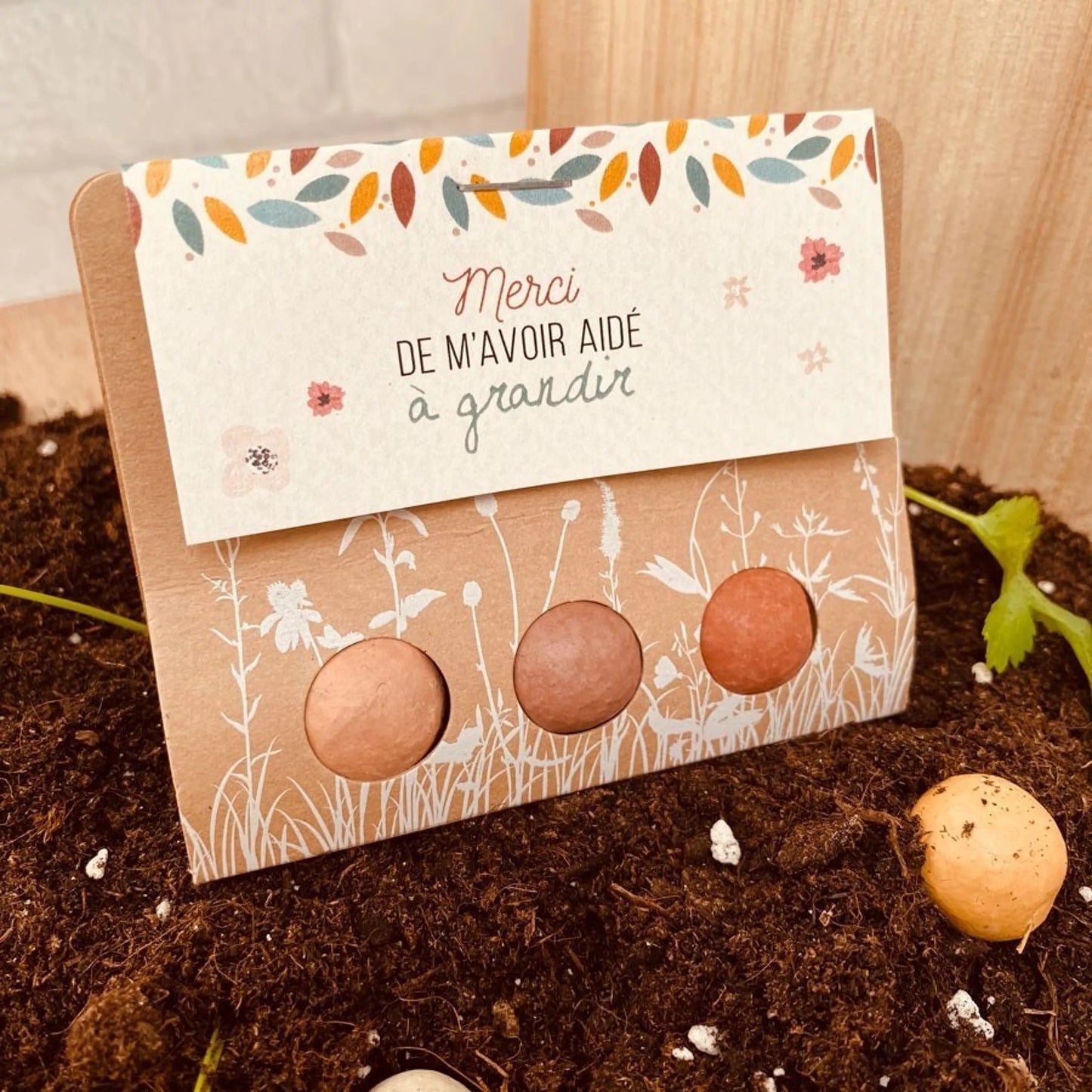 Billes de fleurs à planter