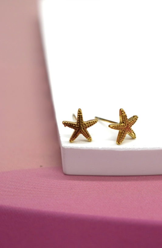Boucles d'oreilles en acier inoxydables étoiles de mer